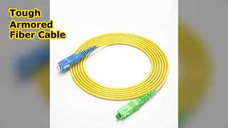 Armored Fiber Optic Patch Cable SC UPC APC