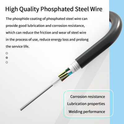 Buy 3-7 Days Delivery Date 12 Core Fiber Optic Armored Cable Suitable for Harsh Environments and Long Distance Communication online manufacture