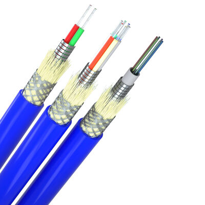 Custom Length Dustproof Spiral Armored Fiber Optic Cable for High Speed Transmission